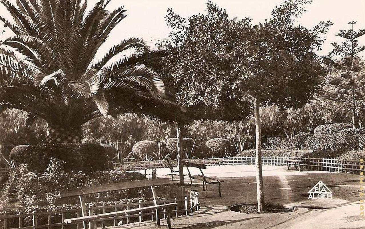 CN ea- 040- Petit Vichy.jpg
